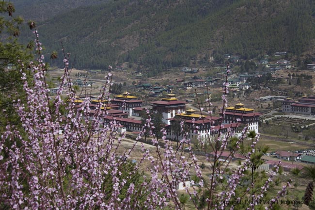 024-91083_Bhutan-Thimphu