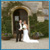 weddings