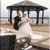 weddings