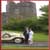weddings