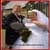 weddings