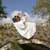 weddings